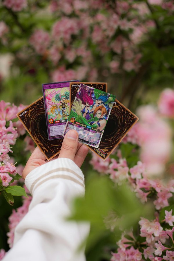 Votre guide complet pour acheter des cartes yu-gi-oh!