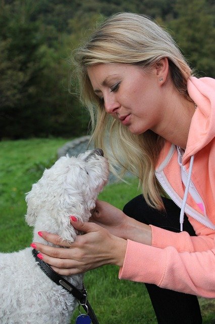 Meilleure mutuelle santé : comment choisir celle qui vous convient